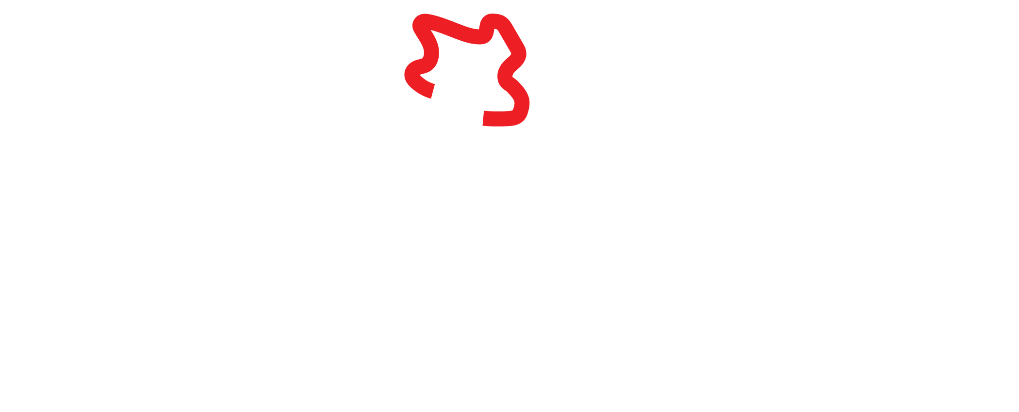 Snapdragon Partners